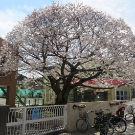 認定こども園いづみ幼稚園の写真2