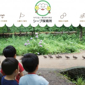 シープ保育所