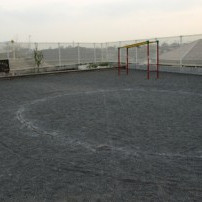 玉川さくら保育園の写真2