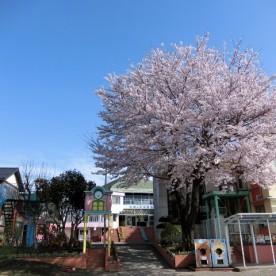 認定こども園たいようのこの写真2