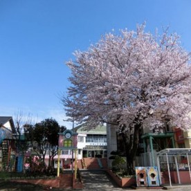 認定こども園たいようのこ