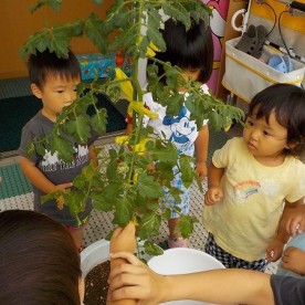 認定こども園ひばりっ子クラブ
