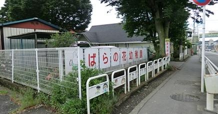 ばらの花幼稚園