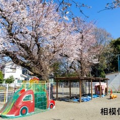 相模保育園