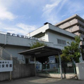 谷口保育園の写真3