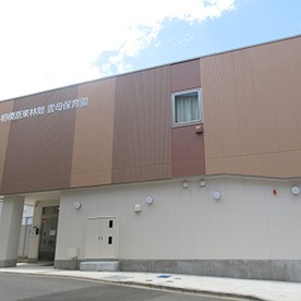 相模原東林間雲母保育園の写真2