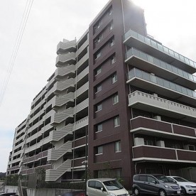 保育園ナナの写真2