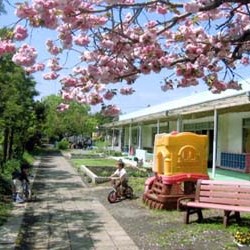 平塚市立ひばり幼稚園