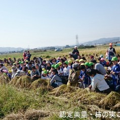 認定美里・柿の実こども園