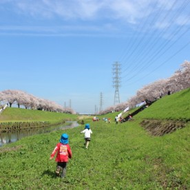 横内保育園の写真3