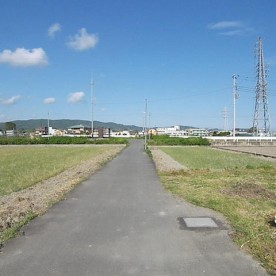 小田原市立報徳幼稚園の写真2