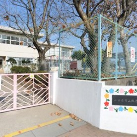 小田原市立報徳幼稚園の写真3