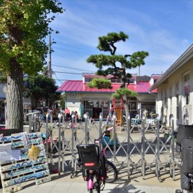片瀬のぞみ幼稚園の写真2