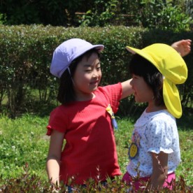 みくに幼稚園の写真2