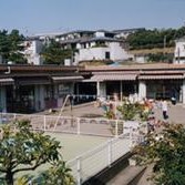 善行保育園の写真3