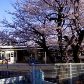 明治保育園の写真2