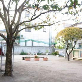 亀有保育園の写真2