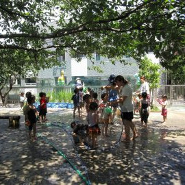 亀有保育園の写真3