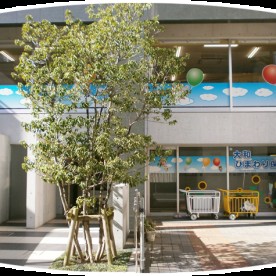大和ひまわり保育園の写真2