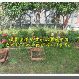 ぽかぽか保育園の写真2
