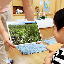 いたばし前野町保育園の写真5