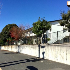 第一保育園の写真2