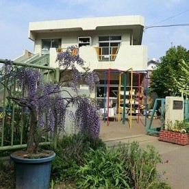 若木保育園の写真2