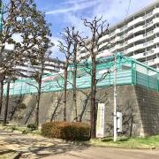 荻野すみれ愛児園の写真2