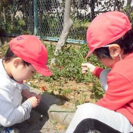 亀青保育園の写真2