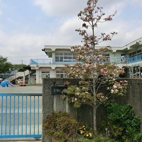 旭保育園の写真2