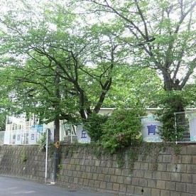 百合が丘保育園の写真2