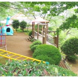 梅の木幼稚園の写真2