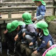 東大泉保育園の写真2