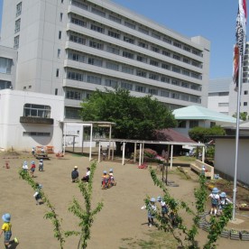 認定こども園東海大学付属本田記念幼稚園の写真2