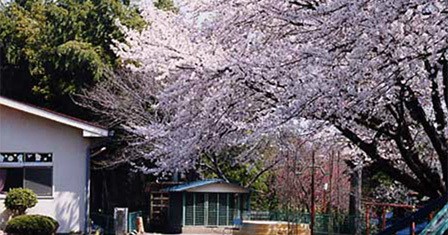 にっしん幼稚園