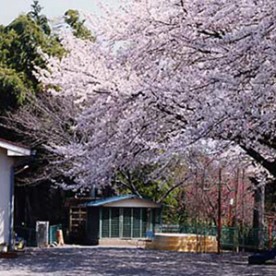 にっしん幼稚園