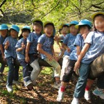 成田保育園の写真4