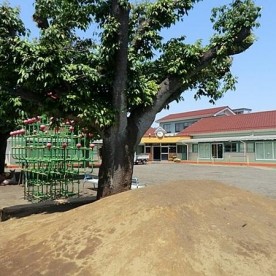 くるみ保育園