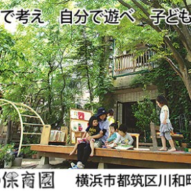 川和保育園の写真2