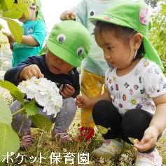 キッズポケット保育園