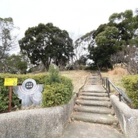 日野保育園の写真3