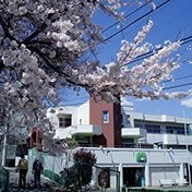 幼保連携型認定こども園みどり幼稚園