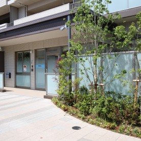 グローバルキッズ綱島ＳＳＴ保育園