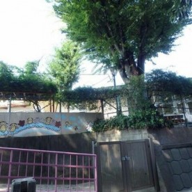 横浜市向台保育園