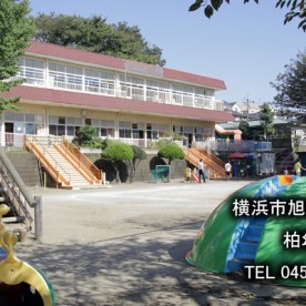 柏幼稚園