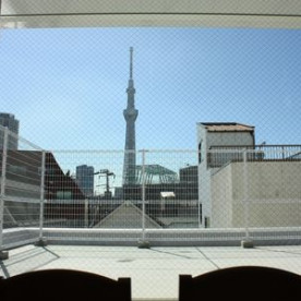 日生曳舟駅前保育園ひびきの写真3