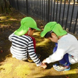 ぶどうの実梶ヶ谷園