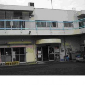 さくらの木保育園