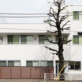スターチャイルド≪岸根公園ナーサリー≫の写真2