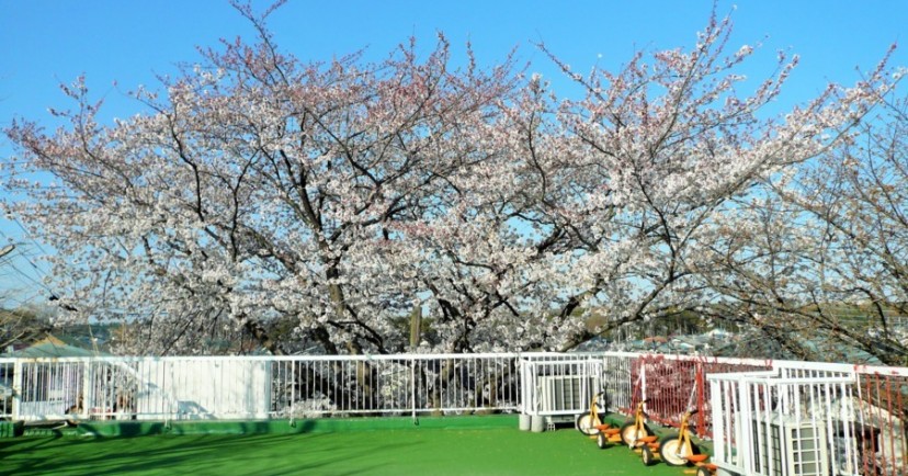瀬谷愛児園